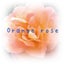 画像 幸せの種～花☆色☆数のセラピー　オレンジローズのユーザープロフィール画像