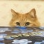 ここちゃんのサムネイル