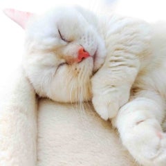 menublogのプロフィール