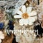honeyhoneyのサムネイル