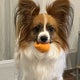 tmkのおすすめのサムネイル