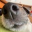 まーのははのサムネイル