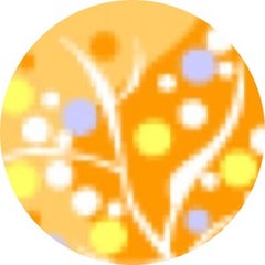amicoのプロフィール