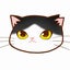 comocomoのサムネイル