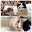 天翔留千歳のサムネイル