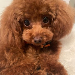 にーな☆のプロフィール