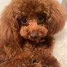 にーな☆のプロフィール