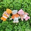 🧸さりちぇ☀️🌱🍒のサムネイル