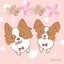 Peperomiaのサムネイル