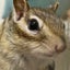 pomesのサムネイル