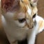 xixiixixのサムネイル