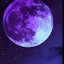 MoonMoonのサムネイル