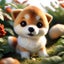 画像 新感覚‼柴犬好きのりの、三角顔の柴犬、おむすびちゃん画像のユーザープロフィール画像