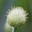 hamada-gardenのサムネイル