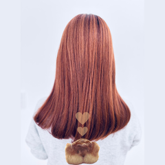 こぎしりのプロフィール