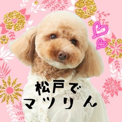 マツリん♪♪自称松戸のアイドルりん☆のプロフィール