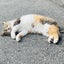 rrikatinのサムネイル