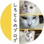 しろとらのサムネイル