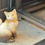 名前未決定のサムネイル