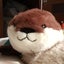 chihimama1023のサムネイル