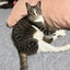 丸井マルコのサムネイル
