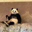 かおるんのサムネイル