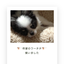 MiKi73のサムネイル