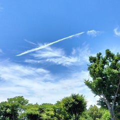 さちのプロフィール