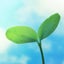 双葉🌱のサムネイル