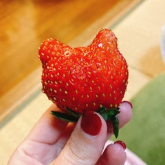 山本のプロフィール