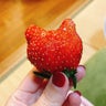 山本のプロフィール