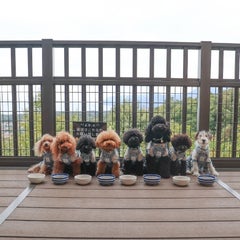 ahnrbのプロフィール