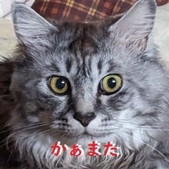かぁまたきちのプロフィール