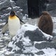 KUNIのおすすめのサムネイル