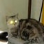 底辺ちゃんのサムネイル