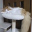 ねこのサムネイル