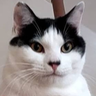 のぇるのプロフィール