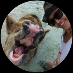 えりin香港のプロフィール