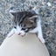 えぐざいる佐藤のサムネイル