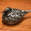 toledo-10402のサムネイル
