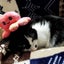 りりみぃのサムネイル