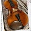 画像 アラフィフ母さん愛犬のいる暮らしとバイオリン＆ダイビング奮闘記のユーザープロフィール画像