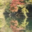 ym123のサムネイル