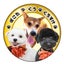画像 ３匹の保護犬　わんわん成長物語ブログのユーザープロフィール画像