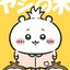 しょこら🐾のサムネイル