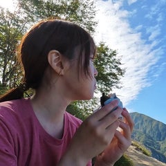 みいのプロフィール