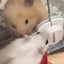 そらのサムネイル