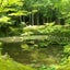 画像 ☆゜¨ 京都 Kyoto『大多喜』文化財めぐりと自然探訪と暮らしのエッセイ  ～ 自然のなかに自然にいる ～ ¨゜☆　のユーザープロフィール画像