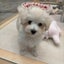 ぎふまじょママのサムネイル