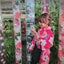 harunaoのサムネイル